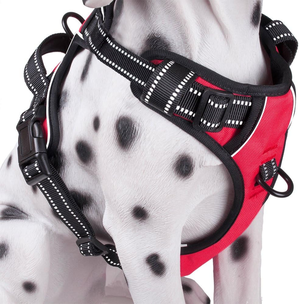 Poypet No Pull Dog Harness, Reflective Comfortable Vest Harness with Front & Back 2 Leash Attachments and Easy Control Handle Adjustable Soft Padded Pet Vest for Small Medium Large Dogs (Mint Blue,M)