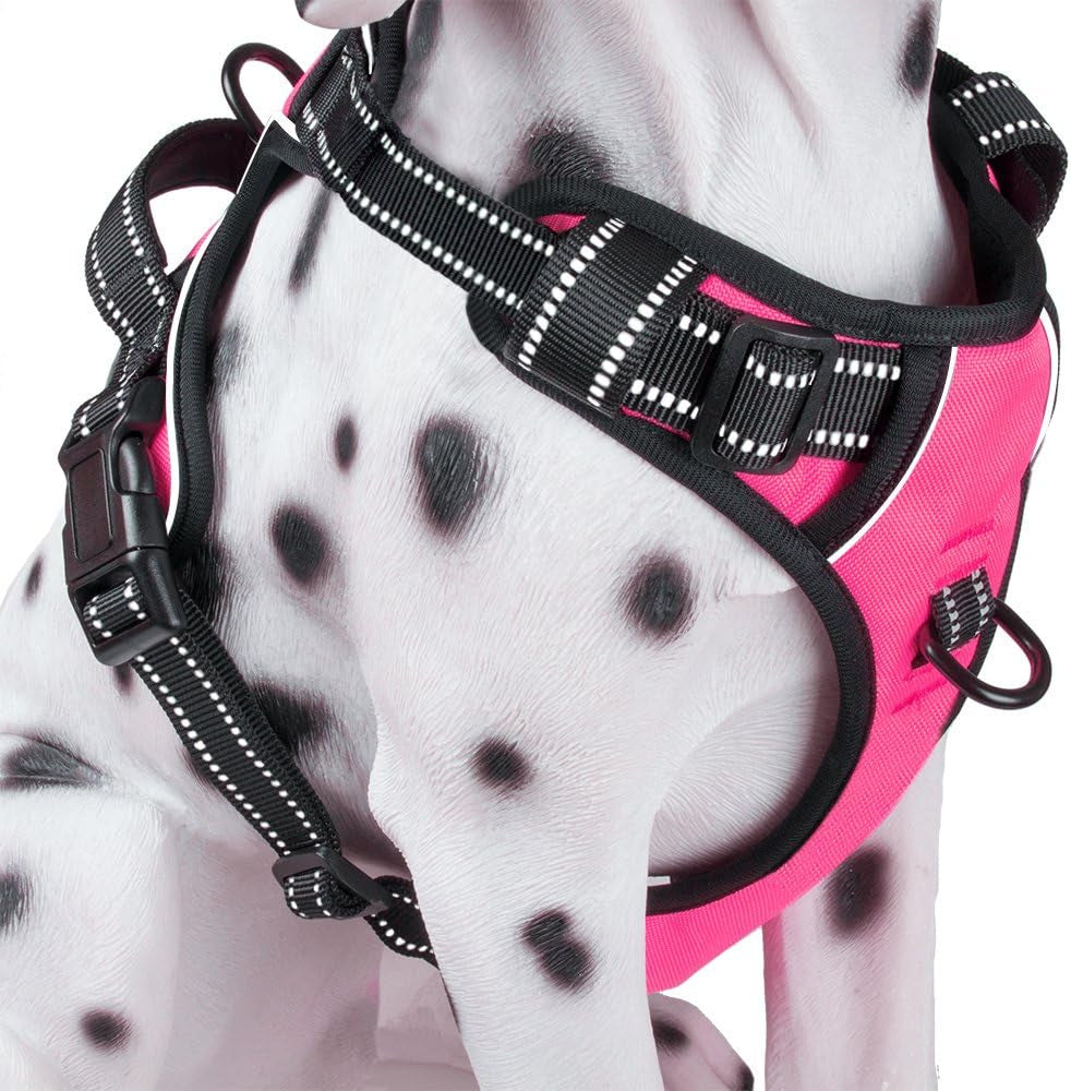 Poypet No Pull Dog Harness, Reflective Comfortable Vest Harness with Front & Back 2 Leash Attachments and Easy Control Handle Adjustable Soft Padded Pet Vest for Small Medium Large Dogs (Mint Blue,M)