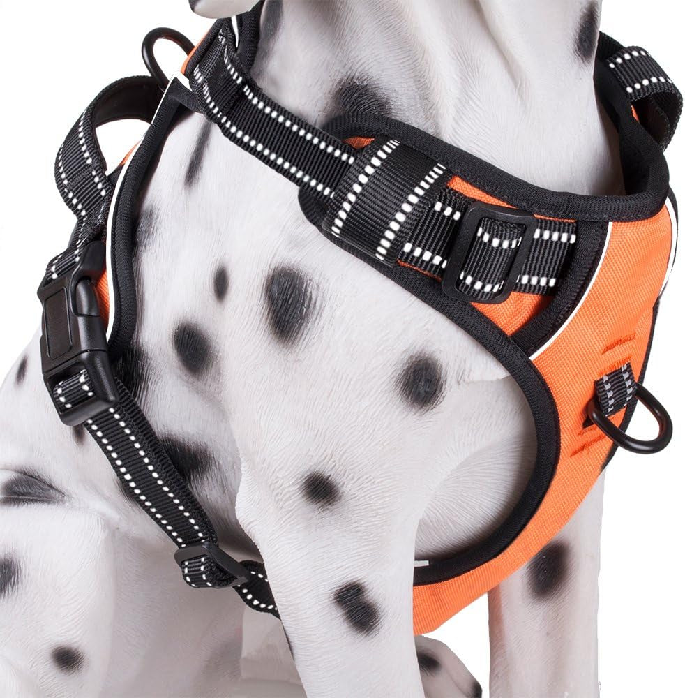 Poypet No Pull Dog Harness, Reflective Comfortable Vest Harness with Front & Back 2 Leash Attachments and Easy Control Handle Adjustable Soft Padded Pet Vest for Small Medium Large Dogs (Mint Blue,M)