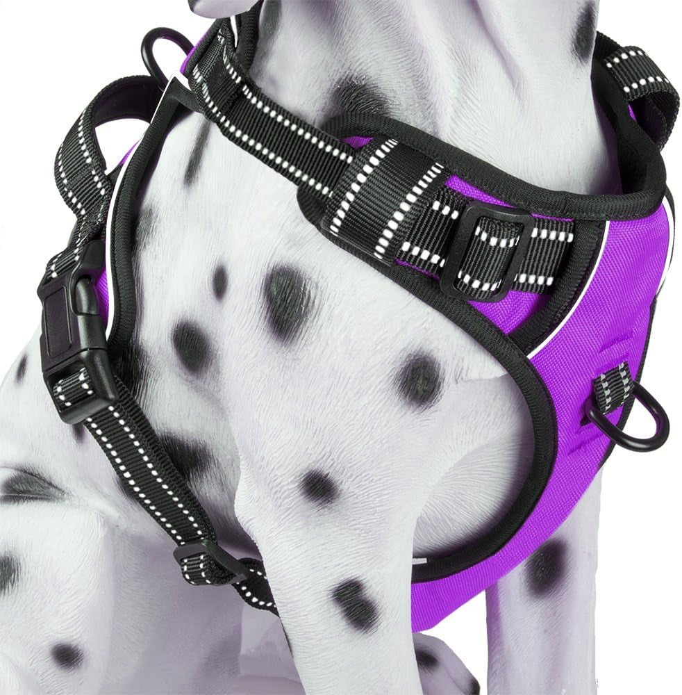 Poypet No Pull Dog Harness, Reflective Comfortable Vest Harness with Front & Back 2 Leash Attachments and Easy Control Handle Adjustable Soft Padded Pet Vest for Small Medium Large Dogs (Mint Blue,M)
