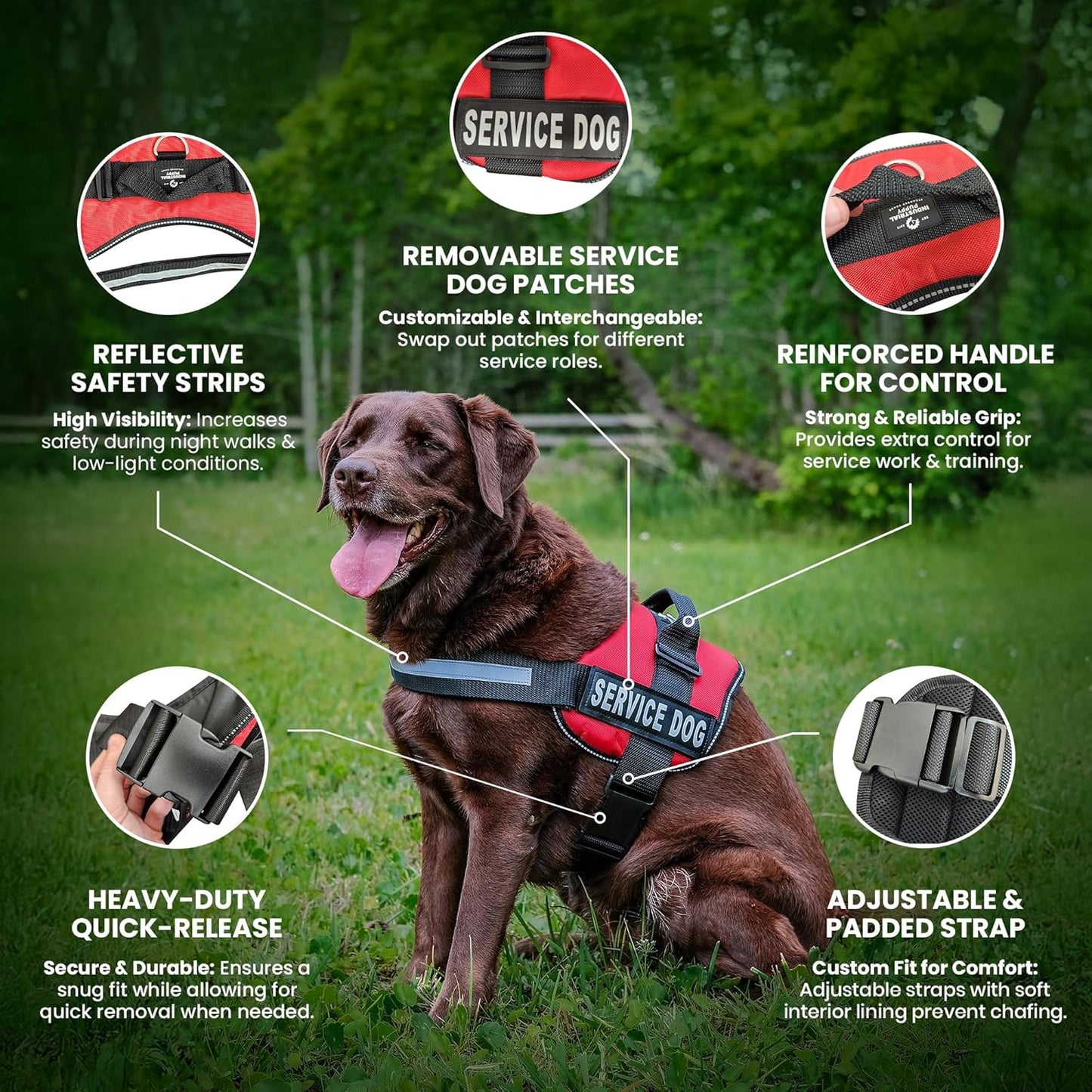 Industrial Puppy Service Dog Vest with Hook and Loop Straps & Matching Service Dog Leash Set - Harnesses from XXS to XXL - Harness Features Reflective Patch and Comfortable Mesh Design