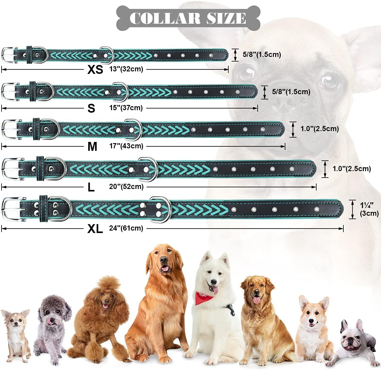 Tagme Leather Dog Collar for Puppy, Stylish Braided Padded Dog Collars with Double D-Rings for Girl and Boy Dog, Teal Blue XS