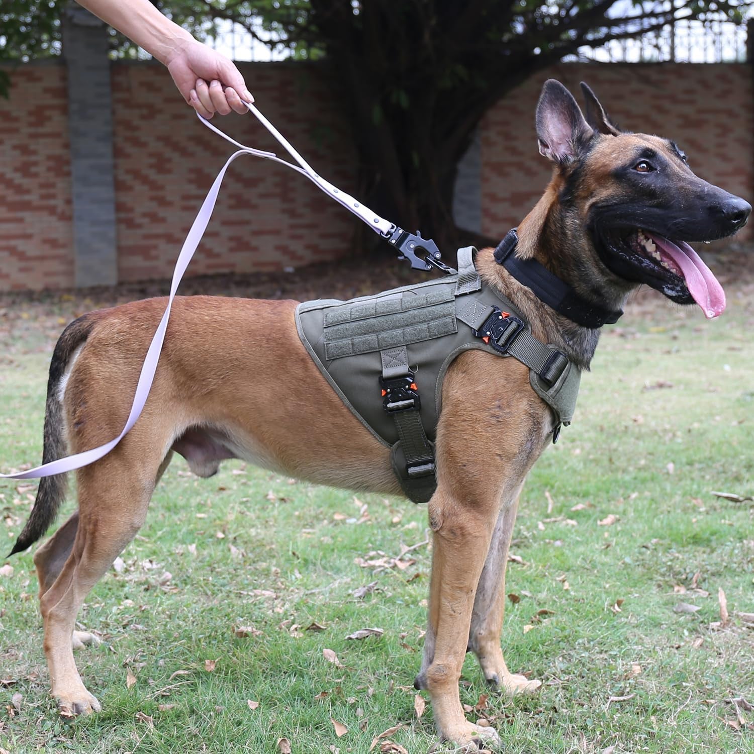 ICEFANG Tactical Dog Harness with 4X Metal Buckle,Working Dog MOLLE K9 Vest with Handle,No Pulling Front Clip,Adjustable Pet Harness for Large Dogs (L (28"-35" Chest), Green)