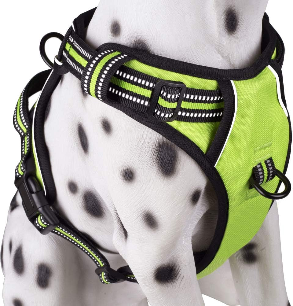 Poypet No Pull Dog Harness, Reflective Comfortable Vest Harness with Front & Back 2 Leash Attachments and Easy Control Handle Adjustable Soft Padded Pet Vest for Small Medium Large Dogs (Mint Blue,M)