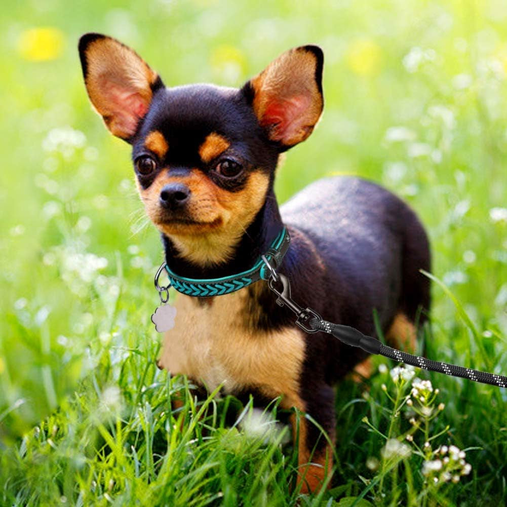 Tagme Leather Dog Collar for Puppy, Stylish Braided Padded Dog Collars with Double D-Rings for Girl and Boy Dog, Teal Blue XS