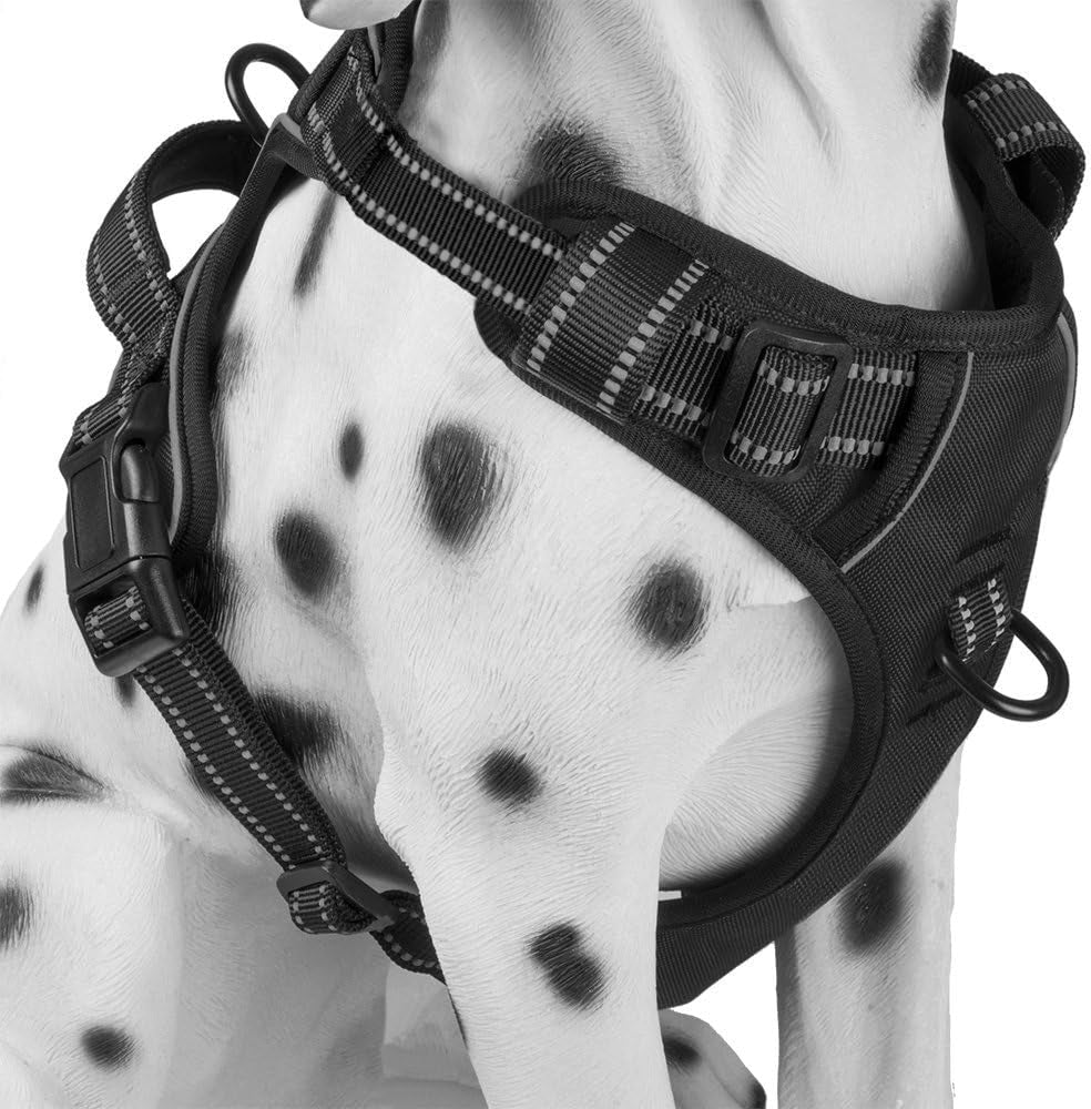 Poypet No Pull Dog Harness, Reflective Comfortable Vest Harness with Front & Back 2 Leash Attachments and Easy Control Handle Adjustable Soft Padded Pet Vest for Small Medium Large Dogs (Mint Blue,M)