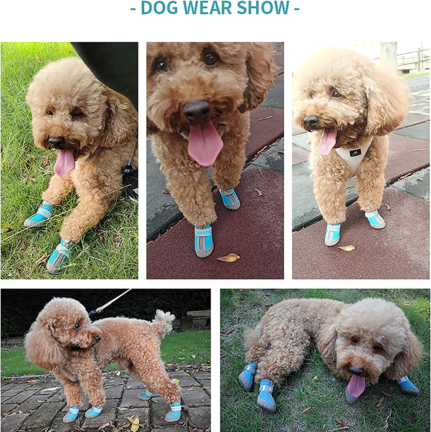 Dog Booties Paw Protectors - Breathable Hiking Boots with Anti-Slip Rugged Sole for Small to Medium Dogs, Blue, Size 4 (Pack of 4)
