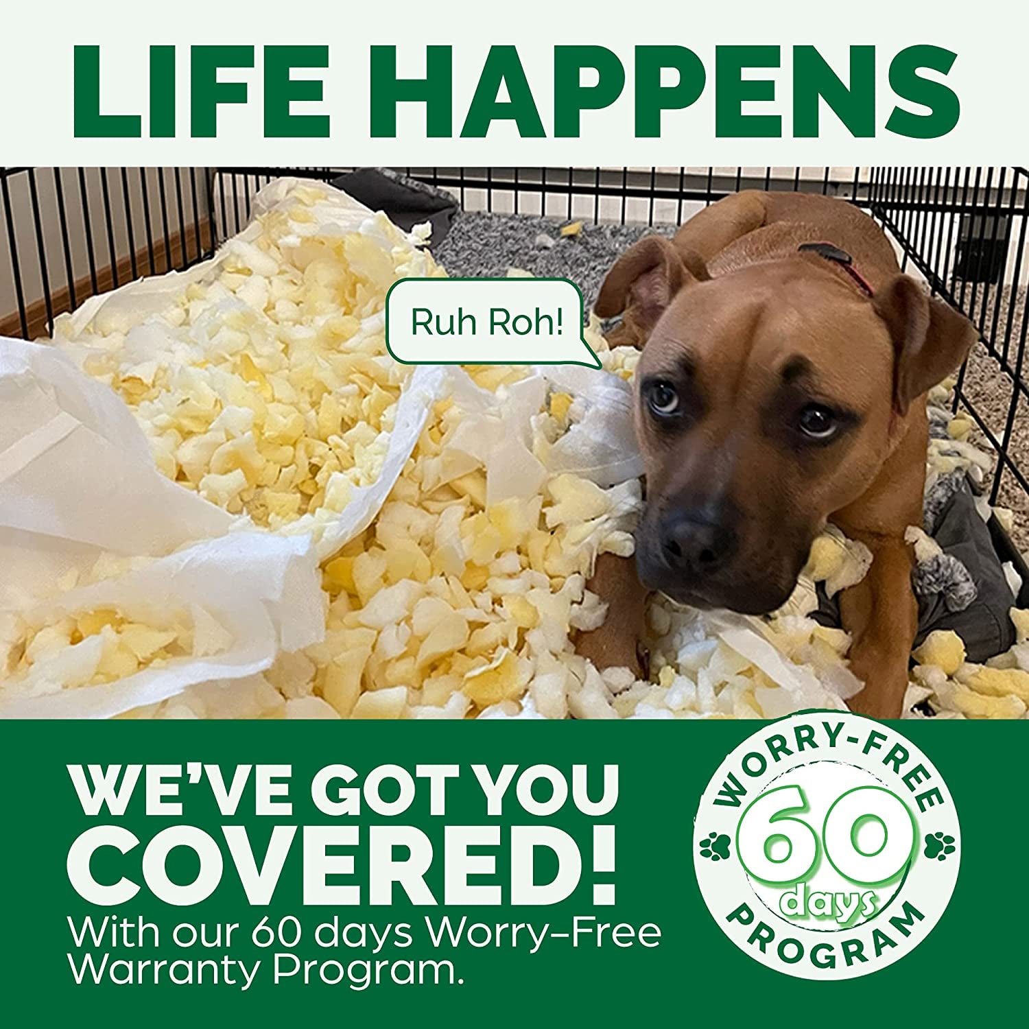 Furhaven Orthopedic Dog Bed for Small Dogs W/ Removable Bolsters & Washable Cover, for Dogs up to 20 Lbs - Plush & Velvet Waves Perfect Comfort Sofa - Celadon Green, Small
