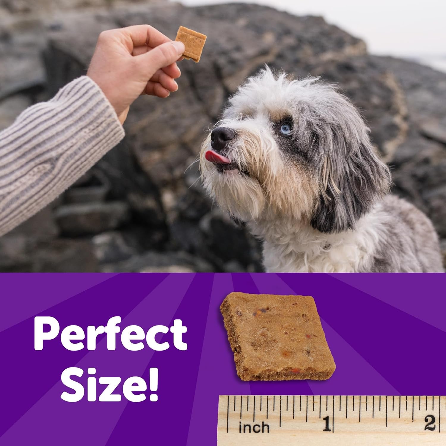 Wellness Rewarding Life Dog Treats, Training Treat, Grain Free, Soft Chicken & Lamb (6 Ounce Bag)