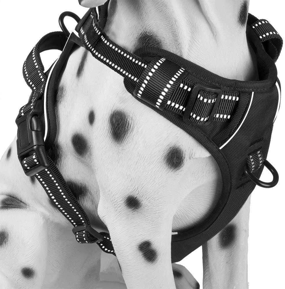 Poypet No Pull Dog Harness, Reflective Comfortable Vest Harness with Front & Back 2 Leash Attachments and Easy Control Handle Adjustable Soft Padded Pet Vest for Small Medium Large Dogs (Mint Blue,M)