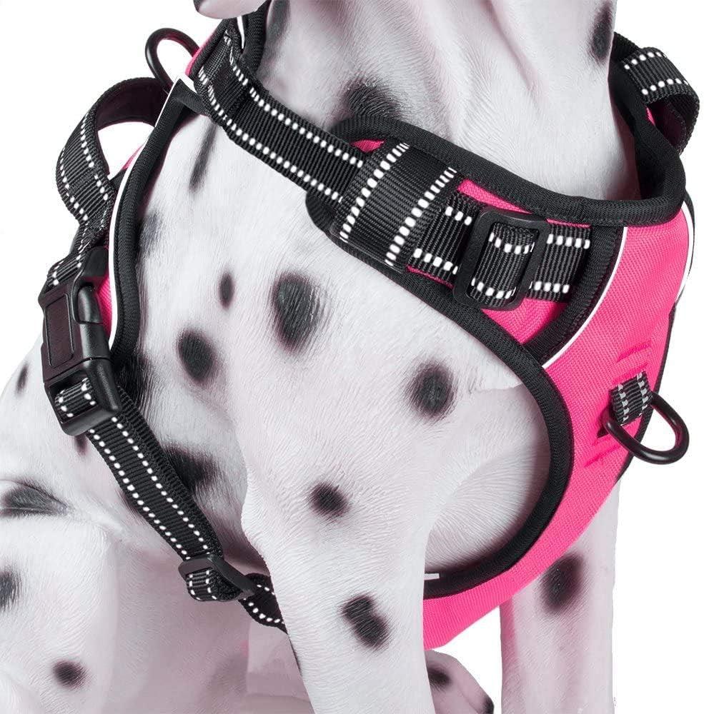 Poypet No Pull Dog Harness, Reflective Comfortable Vest Harness with Front & Back 2 Leash Attachments and Easy Control Handle Adjustable Soft Padded Pet Vest for Small Medium Large Dogs (Mint Blue,M)