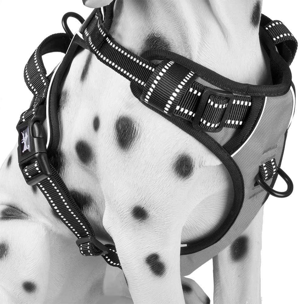 Poypet No Pull Dog Harness, Reflective Comfortable Vest Harness with Front & Back 2 Leash Attachments and Easy Control Handle Adjustable Soft Padded Pet Vest for Small Medium Large Dogs (Mint Blue,M)
